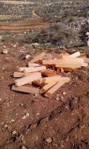 צילום: הרב יחיאל גריינימן מרבנים למען זכויות האדם